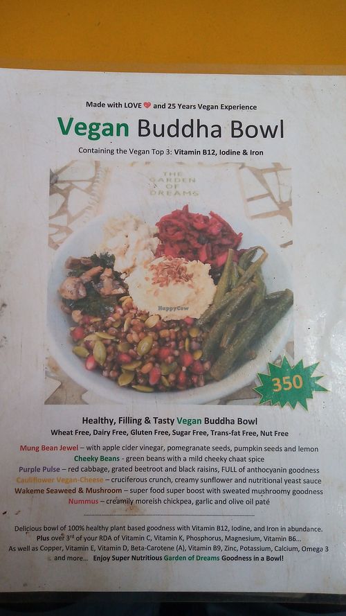 Healthy Vegan Buddha Bowls at The Garden of Dreams  in Arambol