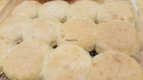 Whole Grain Bread - Made fresh daily! Made with only 5 simple ingredients (freshly-milled whole grain flour, water, safflower oil, yeast, and sea salt)! at Healthyums in Zion