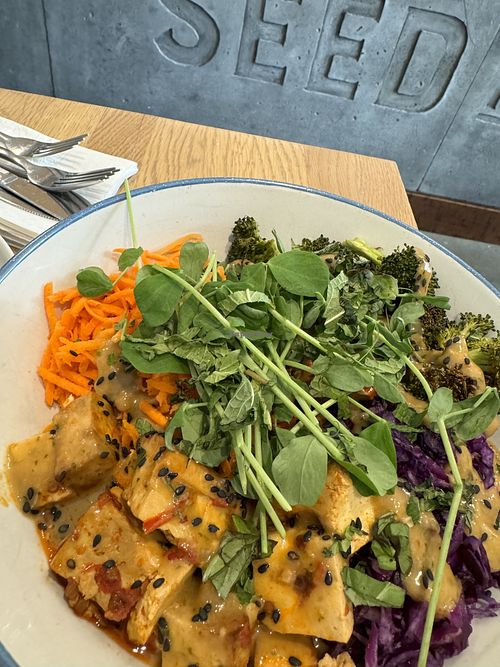 Thai bowl  at Seed N Salt in Calgary