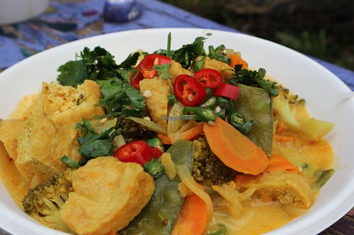 Gorgeous Thai curry served during one of their events. at Friend Farm Animal Sanctuary in Tonbridge
