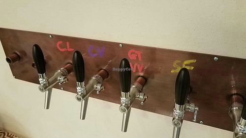 Come and try then refill your Kombucha on Tap at Bioma Kombucha in Barcelona