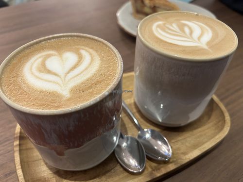 Matcha of the day   at filtro in The Hague