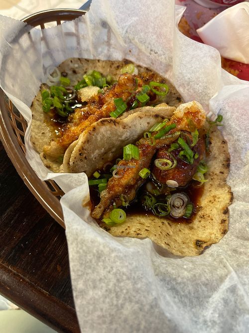 Fish Company Taco Galveston Texas Restaurant HappyCow