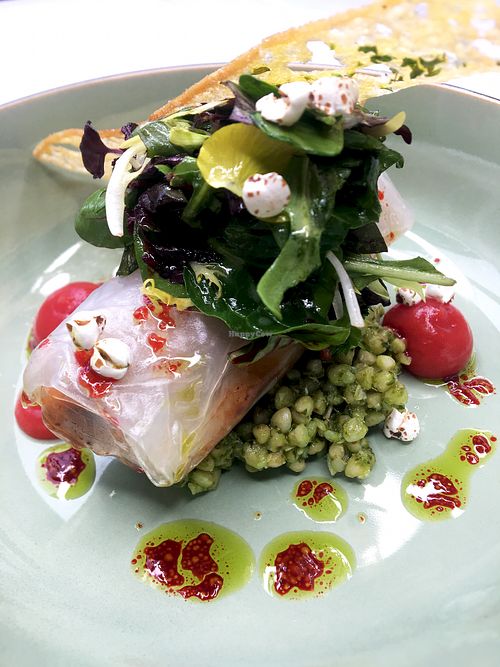 Elaine's Greenhouse Frankfurt Restaurant HappyCow