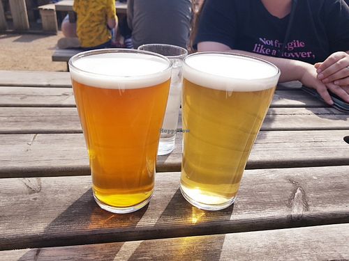 Smugglers Gold and Session IPA at Whitby Brewery in Whitby