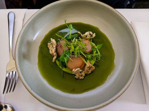 Third course at Frea at FREA in Berlin