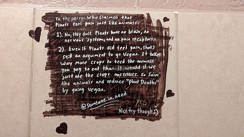 Nice quote at Evolve Modern Vegan Kitchen in Daytona Beach