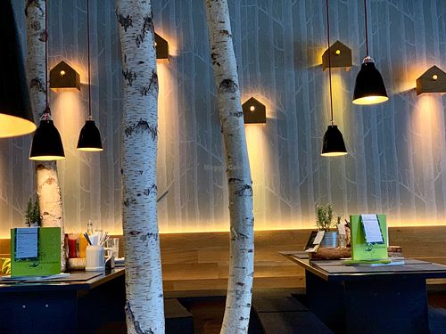 trees at Hans im Glück  in Hagen