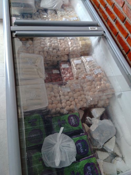 Congelados veganos. Vegan frozen stuff. at Viva Vegê in Uberlandia