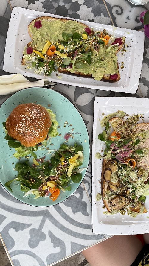Avo toast, portobello burger and vegan cream cheese and mushroom toast  at Kat's Kitchen Brunch Club in Split
