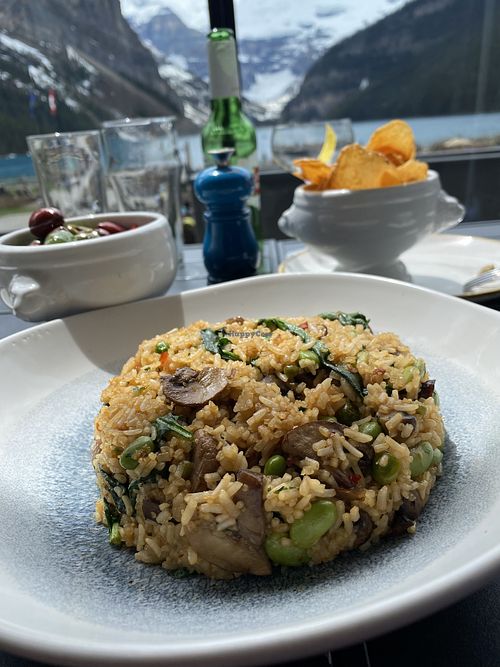Vegan fried rice  at Lakeview Lounge in Lake Louise