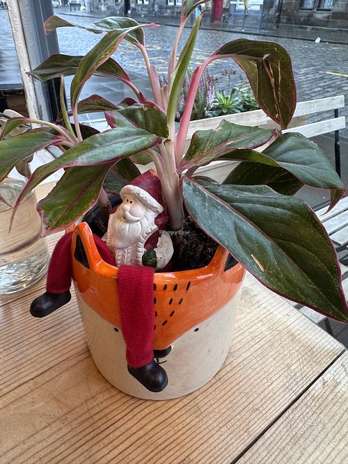 Aye   at The Sly Fox in Edinburgh