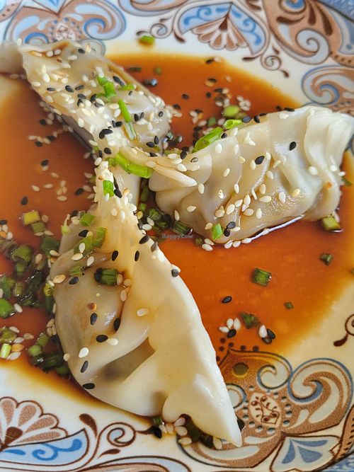 Vegan dumplings at Temari Sushi in Willemstad