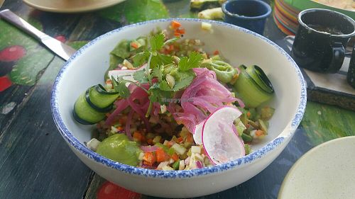 Vegan Cerviche at La Zebra in Tulum