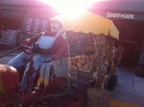 howdy at Staff of Life in Santa Cruz