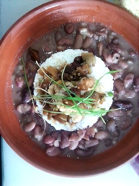Coliflor estilo India sobre arroz y frijoles rojos con germinado orgánico de lentejas at Pachamama Health in Veracruz