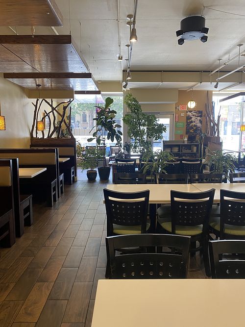 Indoor Seating w/Live Plants and Plenty of Seating  at Golden Era Vegan Restaurant in San Francisco