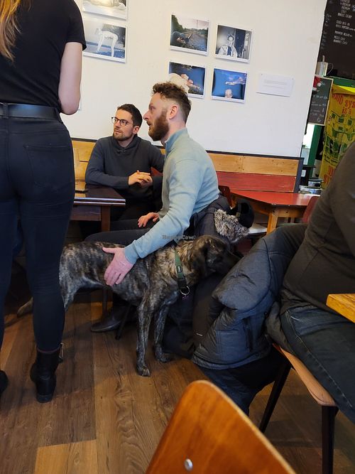  at Szabad Bisztro in Budapest