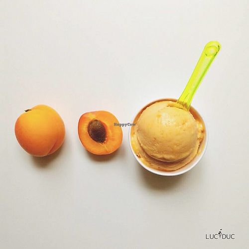 From apricot to delicous ice cream at LucDuc in Lisbon