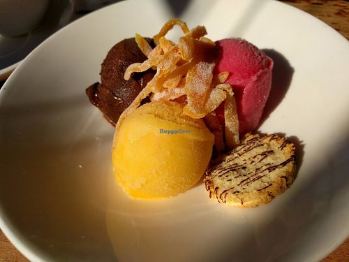 Page mandarin, blood orange & chocolate sorbet with candied zest & coconut cookies at Greens Restaurant in San Francisco