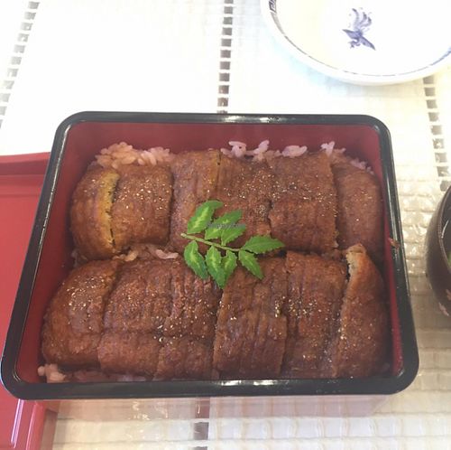 unagi!  at Loving Hut in Tokyo