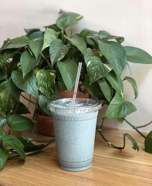 blue shake at Brewed+Pressed - Payne St in Dallas
