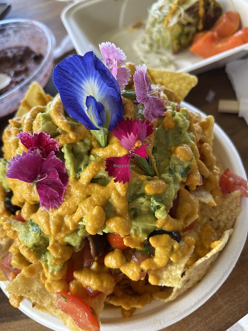   at Barefoot Zone in Captain Cook