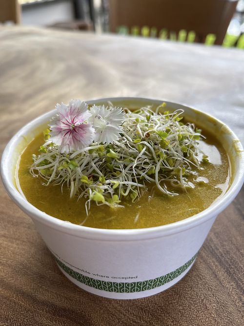 Soup, delicate and delicious turmeric / coconut flavor.  at Barefoot Zone in Captain Cook