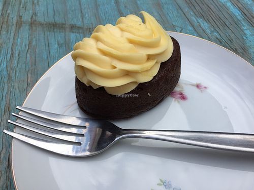 Vegan ginger and molasses cake at For Change Cafe - Melbourne Uni. in Parkville