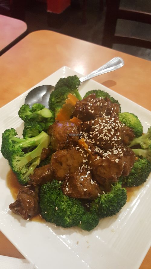 Brocolli and spare ribs at Enjoy Vegetarian Restaurant - Sunset District in San Francisco