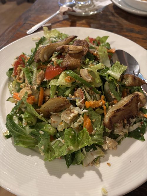 Vietnamese spicy herb salad topped with vegan chickenn  at Blue Diamond in Chiang Mai