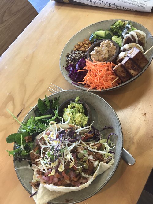 Pulled jackfruit tacos & a tofu/falafel bowl at Gratitude in Tauranga