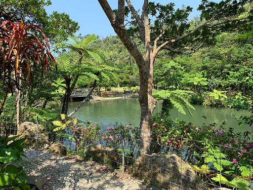 Outside the Cafe at Cafe 7 Winds in Yomitan