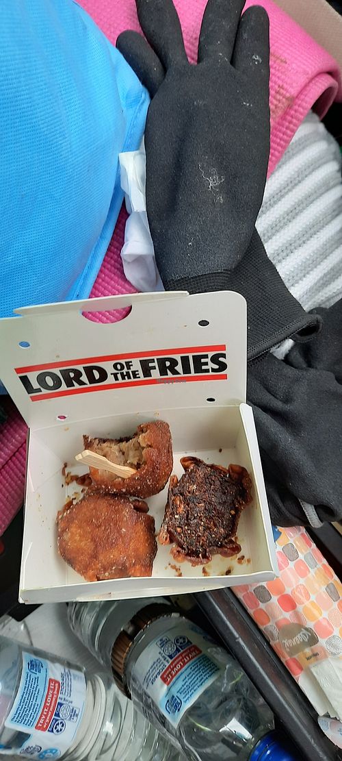 Dim sims at Lord of the Fries in Newtown