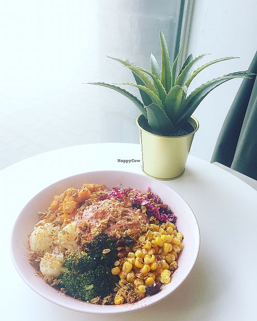 Buddha bowl at Coco Mango in Mons