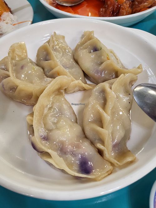 Dumplings at Lucky Creation Vegetarian in San Francisco