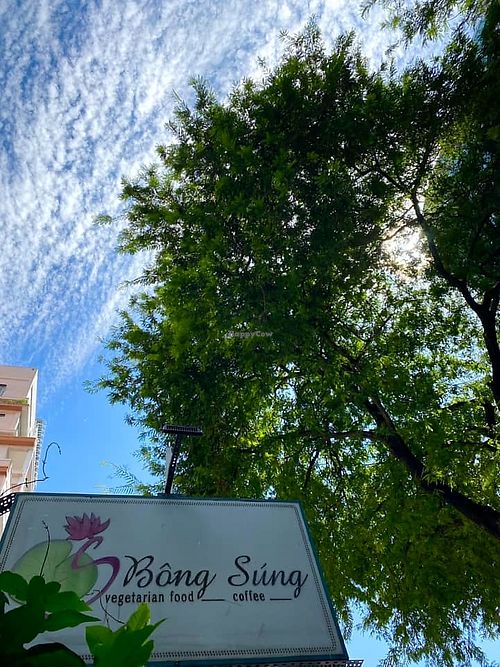  at Bong Sung Vegetarian Food - District 3 in Ho Chi Minh City