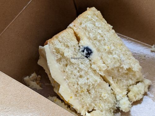 Vegan lemon and blueberry cake at The Blue Bear in Edinburgh