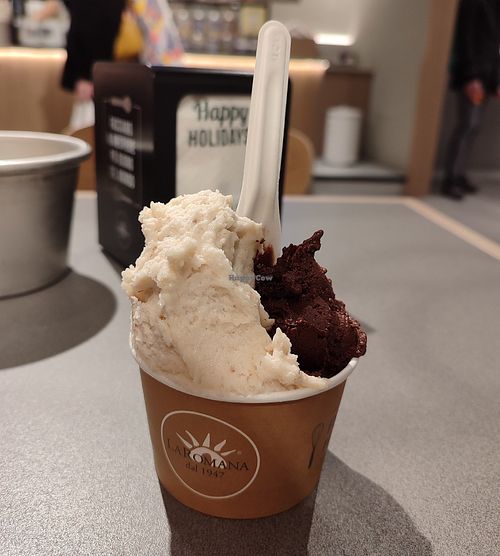 Pear and chocolate at Gelateria La Romana in Padua