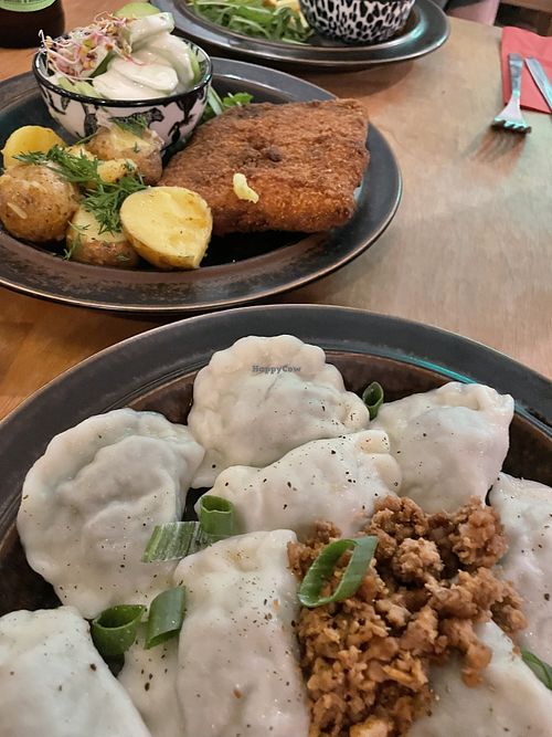 Pierogi and ‘pork’ chop with dill potatoes and cucumber sour cream salad ❤️  at no bones in Krakow