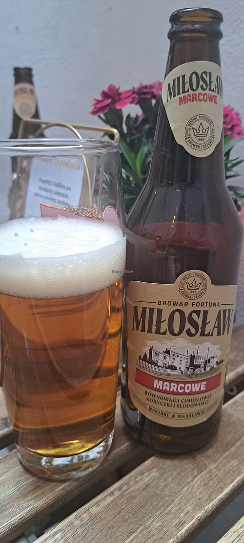 Beer 🍺 at no bones in Krakow