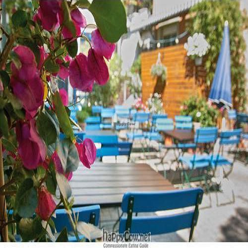 outside at Kartoffelhaus in Freiburg