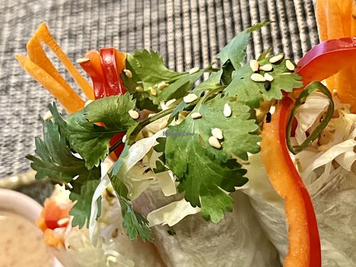 summer rolls  at Banoi  in Neuruppin