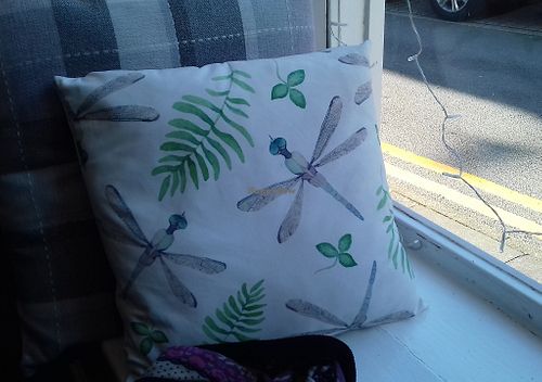 Dragonfly cushion in the window seat at Dragonfly Bistro in Aberystwyth