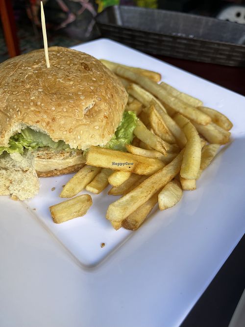 Falafel burger with fries   at Quero Arepa in Cartagena