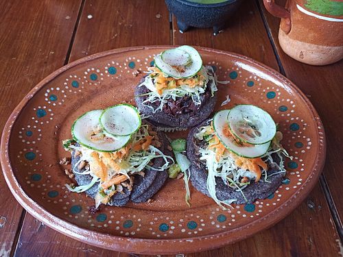 Image of La Vegana Garnacha