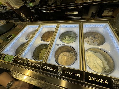 vegan flavors  at Gelato Fantasy in Venice