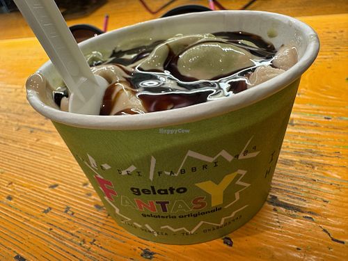two scoops vegan  at Gelato Fantasy in Venice