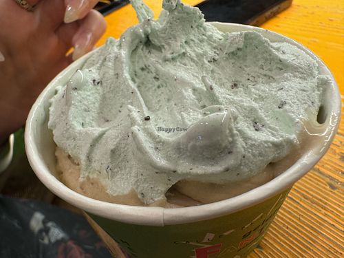 mint  at Gelato Fantasy in Venice