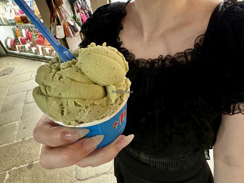 pistachio  at Gelato Fantasy in Venice